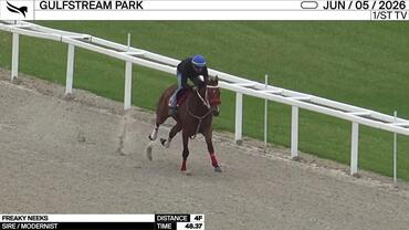 Freaky Neeks Worked 4 Furlongs in 48.37 at Gulfstream Park on June 5th, 2026