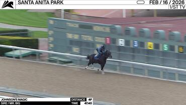 Johnson's Magic Worked 4 Furlongs in 47.40 at Santa Anita Park on February 16th, 2026