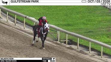 Majestic Noir Worked 3 Furlongs in 38.88 at Gulfstream Park on October 3rd, 2026