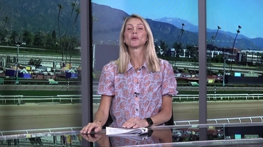 Preview of The Beholder Mile on Mar 7th 2026