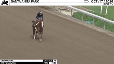 Cinnamoroll Worked 4 Furlongs in 46.60 at Santa Anita Park on October 17th, 2026