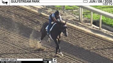 Starship Juliette Worked 4 Furlongs in 48.70 at Gulfstream Park on June 8th, 2026