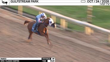 Pardo Worked 4 Furlongs in 51.81 at Gulfstream Park on October 24th, 2026