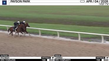 Fitz Right (Outside) and Layered Worked 4 Furlongs in 49.80 at Payson Park on April 4th, 2026
