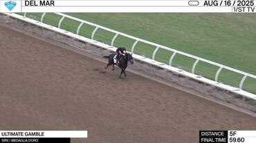 Ultimate Gamble Worked 5 Furlongs in 59.60 at Del Mar on August 16th, 2025