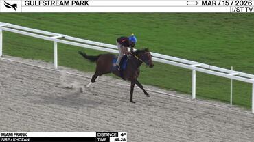 Miami Frank Worked 4 Furlongs in 49.28 at Gulfstream Park on March 15th, 2026