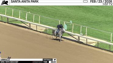 Umbralle Worked 4 Furlongs in 48.00 at Santa Anita Park on February 23rd, 2026