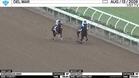 Subsanador (Gray Cap) and Dear Diary Worked 5 Furlongs at Del Mar on August 13th, 2026