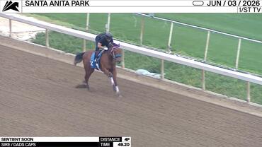 Sentient Soon Worked 4 Furlongs in 49.20 at Santa Anita Park on June 3rd, 2026