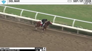 Pure Chaos Worked 4 Furlongs in 49.20 at Del Mar on September 7th, 2026