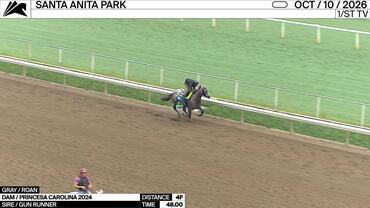An Unnamed Horse Dam out of the Dam Princesa Carolina Worked 4 Furlongs in 48.00 at Santa Anita Park on October 10th, 2026