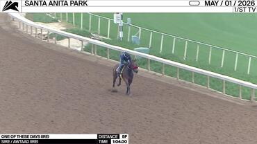 One of These Days Worked 5 Furlongs in 1:04.00 at Santa Anita Park on May 1st, 2026