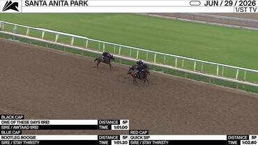 One of These Days (Black Cap), Bootleg Boogie (Blue Cap) and Quick Sip Worked 5 Furlongs at Santa Anita Park on June 29th, 2026