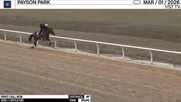 First Call Bob Worked 4 Furlongs in 50.00 at Payson Park on March 1st, 2026