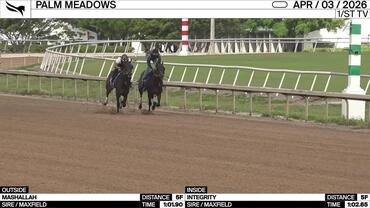 Mashallah (Outside) and Integrity Worked 5 Furlongs at Palm Meadows on April 3rd, 2026