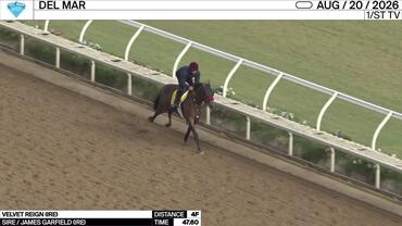 Velvet Reign Worked 4 Furlongs in 47.60 at Del Mar on August 20th, 2026