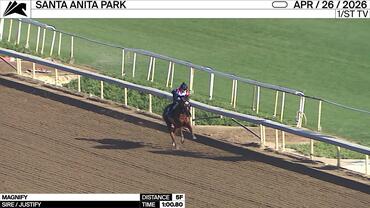 Magnify Worked 5 Furlongs in 1:00.80 at Santa Anita Park on April 26th, 2026
