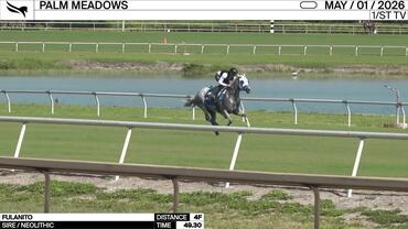 Fulanito Worked 4 Furlongs in 49.30 at Palm Meadows on May 1st, 2026
