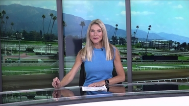 Preview of The Woodbine Mile on Sep 13th, 2025