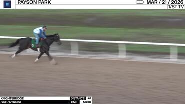 Knightsbridge Worked 4 Furlongs in 50.20 at Payson Park on March 21st, 2026