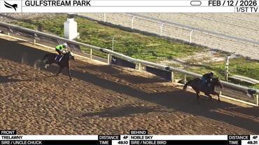 Trelawny (Front) and Noble Sky Worked 4 Furlongs at Gulfstream Park on February 12th, 2026