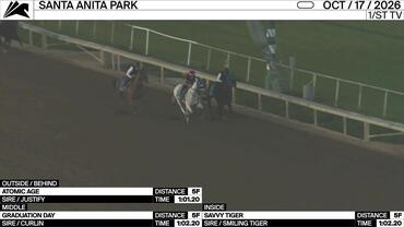 Atomic Age (Outside/Behind), Graduation Day (Middle) and Savvy Tiger Worked 5 Furlongs at Santa Anita Park on October 17th, 2026