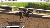 Global Aviator Worked 4 Furlongs in 49.12 at Gulfstream Park on February 20th, 2026