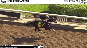 Global Aviator Worked 4 Furlongs in 49.12 at Gulfstream Park on February 20th, 2026