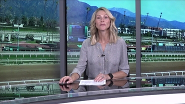 Preview of The Sunshine Turf on Jan 17th 2026