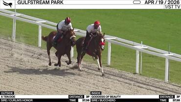X Ten Doe (Outside) and Goddess of Beauty Worked 3 Furlongs in 37.38 at Gulfstream Park on April 19th, 2026
