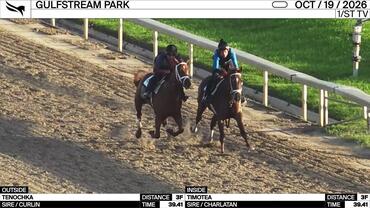 Tenochka (Outside) and Timotea Worked 3 Furlongs in 39.41 at Gulfstream Park on October 19th, 2026
