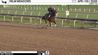 Knoty Knicks Worked 4 Furlongs in 49.05 at Palm Meadows on April 3rd, 2026