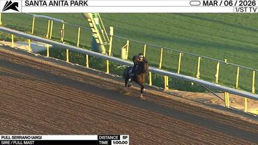 Full Serrano Worked 5 Furlongs in 1:00.00 at Santa Anita Park on March 6th, 2026