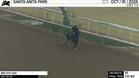 Bee Eye Gee Worked 5 Furlongs in 1:01.40 at Santa Anita Park on October 31st, 2025