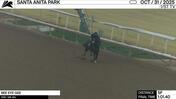 Bee Eye Gee Worked 5 Furlongs in 1:01.40 at Santa Anita Park on October 31st, 2025