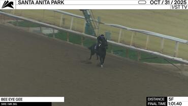 Bee Eye Gee Worked 5 Furlongs in 1:01.40 at Santa Anita Park on October 31st, 2025