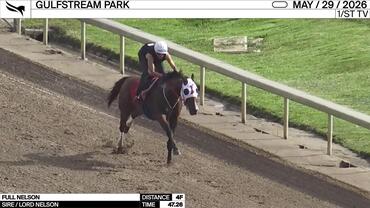 Full Nelson Worked 4 Furlongs in 47.36 at Gulfstream Park on May 29th, 2026
