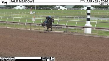 Reagan's Flame Worked 4 Furlongs in 48.25 at Palm Meadows on April 24th, 2026