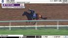 Percy's Bar Galloped at Del Mar on October 29th, 2025