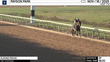 Playing Tricks Worked 3 Furlongs in 38.20 at Payson Park on November 16th, 2025