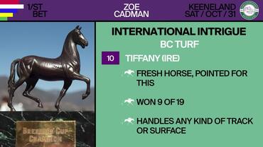 International Intrigue for Breeders' Cup October on 31st, 2026