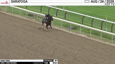 Baby Vino worked 4 Furlongs in 47.31 at Saratoga on August 24th, 2026