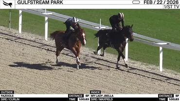 Fazools (Outside) and My Lady Jbella Worked 5 Furlongs in 1:00.83 at Gulfstream Park on February 22nd, 2026