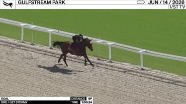 Goal Worked 5 Furlongs in 1:00.24 at Gulfstream Park on June 14th, 2026