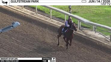 Memory of My Life Worked 4 Furlongs in 52.00 at Gulfstream Park on June 14th, 2026