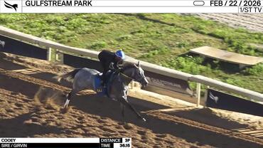 Cooey Worked 3 Furlongs in 36.15 at Gulfstream Park on February 22nd, 2026