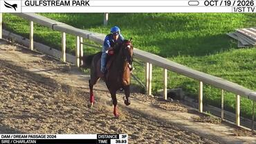 An Unnamed Horse out of the Dam Dream Passage Worked 3 Furlongs in 39.93 at Gulfstream Park on October 19th, 2026