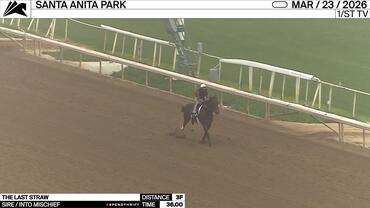 The Last Straw Worked 3 Furlongs in 36.00 at Santa Anita Park on March 23rd, 2026