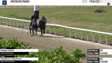 Ohana Honor (Outside) and Dreams of Tomorrow Worked 5 Furlongs in 1:01.60 at Payson Park on February 25th, 2024