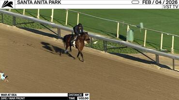 War At Sea Worked 5 Furlongs in 1:02.00 at Santa Anita Park on February 4th, 2026